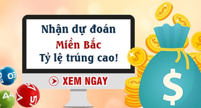 phương pháp nuôi dàn đặc biệt đẹp khung 3 ngày chiến thắng